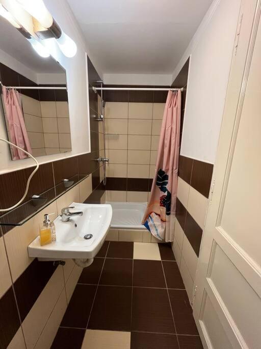 1#Parliament Sunflower Apartments Room 부다페스트 외부 사진